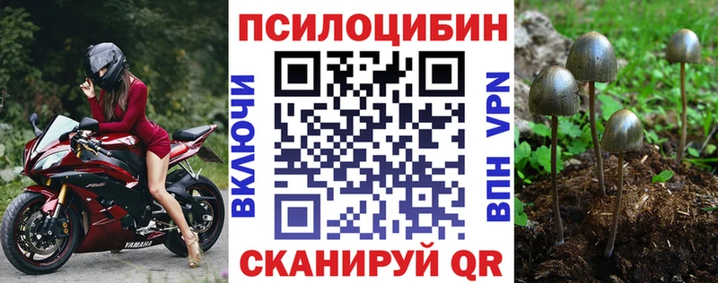 Купить где  Коломна  Галлюциногенные грибы Cubensis 